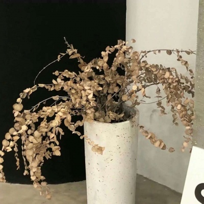 兽设治愈风格绘画福瑞交流群